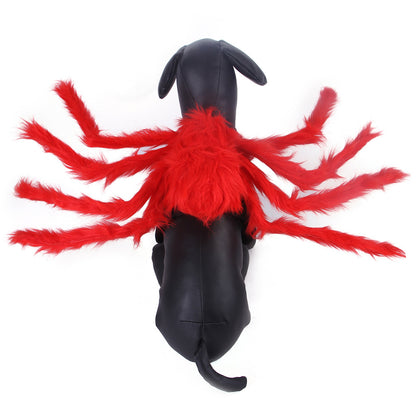 HALLOWEEN SPIDER COSTUME