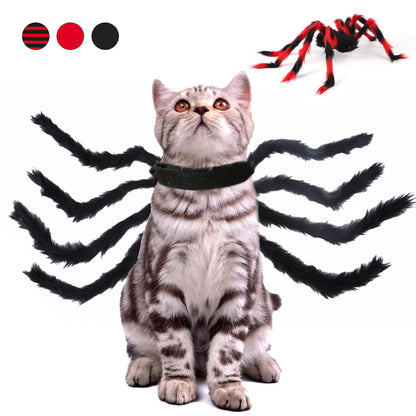 HALLOWEEN SPIDER COSTUME