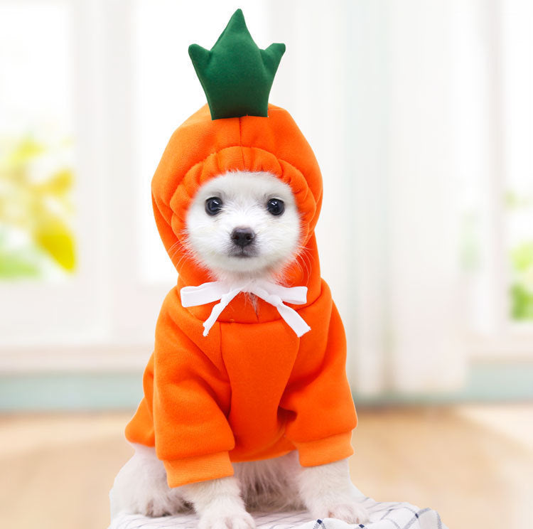 FRUIT COSTUME