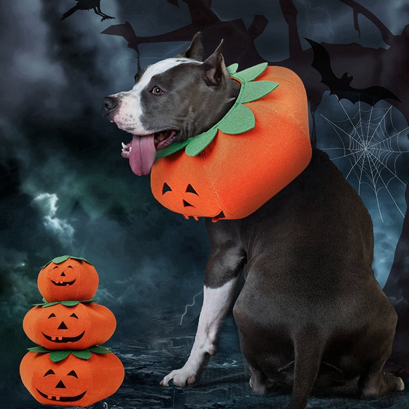 DOG HALLOWEEN PUMPKIN COSTUME