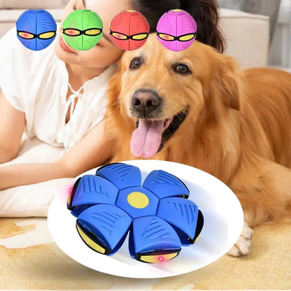 DOG FRISBEE BALL