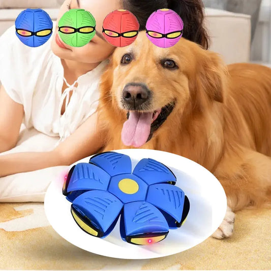 DOG FRISBEE BALL