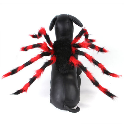 HALLOWEEN SPIDER COSTUME