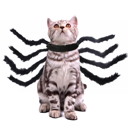 HALLOWEEN SPIDER COSTUME