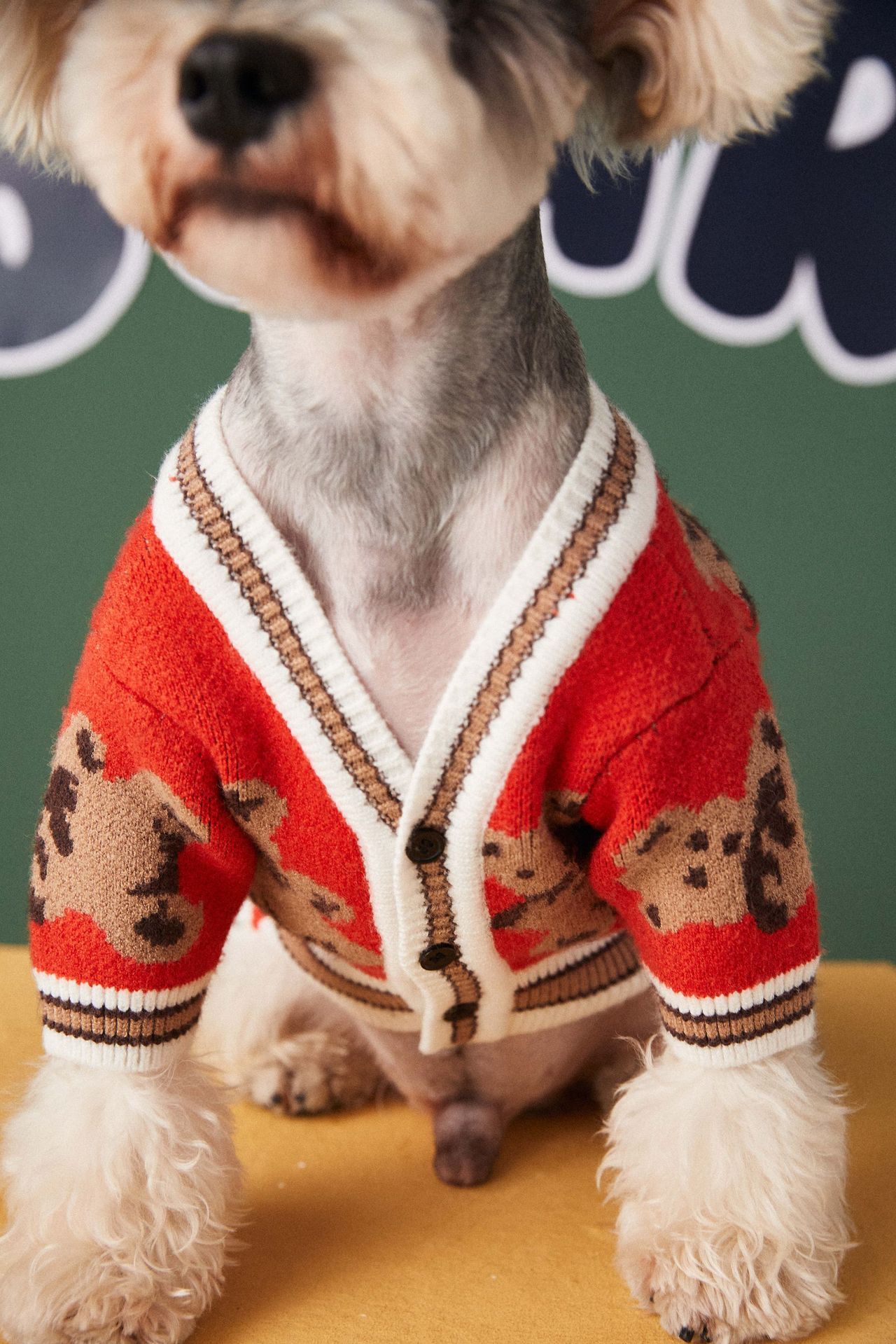 SOPHISTICATED DOG SWEATER