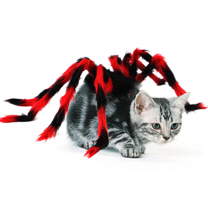 HALLOWEEN SPIDER COSTUME