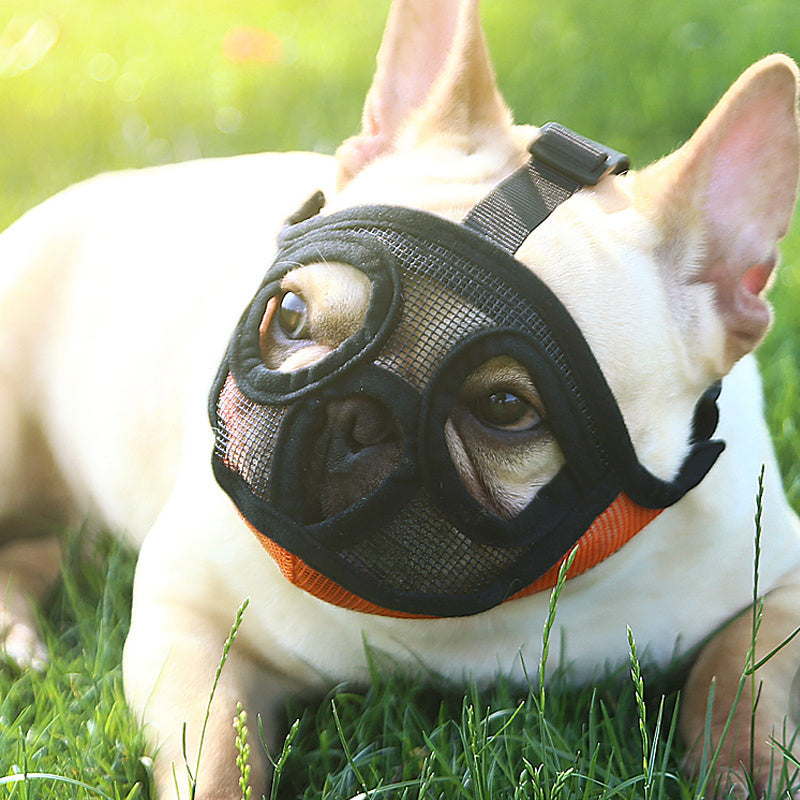 BANE MUZZLE