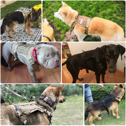 TACTICAL DOG HARNESS WITH BUNGEE LEASH