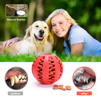 INTERACTIVE DOG RUBBER BALL