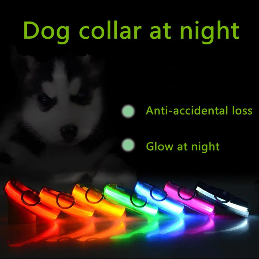 LED HIGH VISIBILITY SAFETY COLLAR FOR DOGS