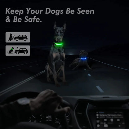 LED HIGH VISIBILITY SAFETY COLLAR FOR DOGS