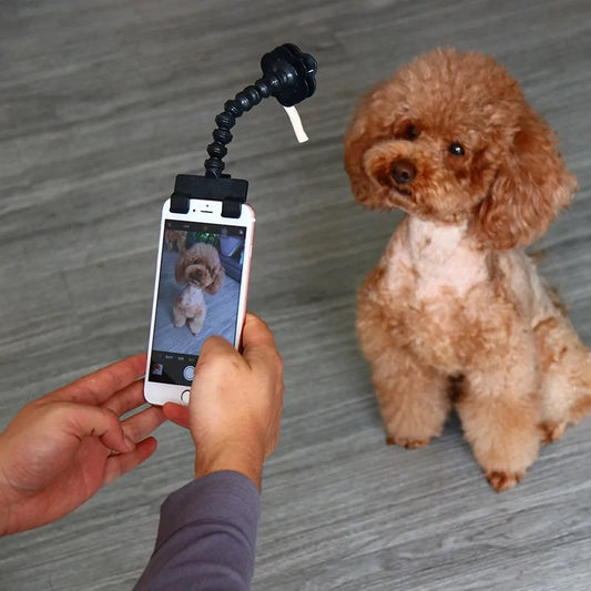 SELFIE STICK FOR PETS