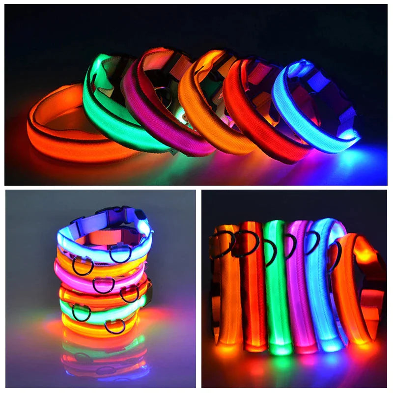 LED HIGH VISIBILITY SAFETY COLLAR FOR DOGS