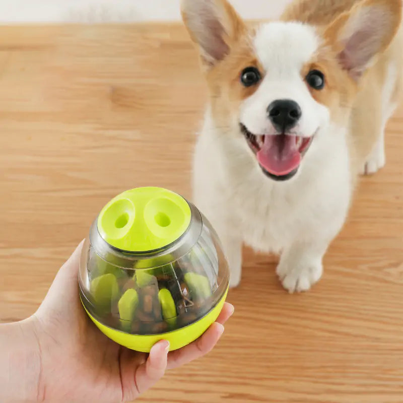 DOG IQ TREAT TOYS