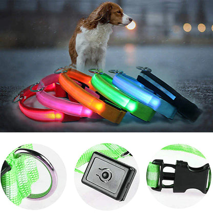 LED HIGH VISIBILITY SAFETY COLLAR FOR DOGS