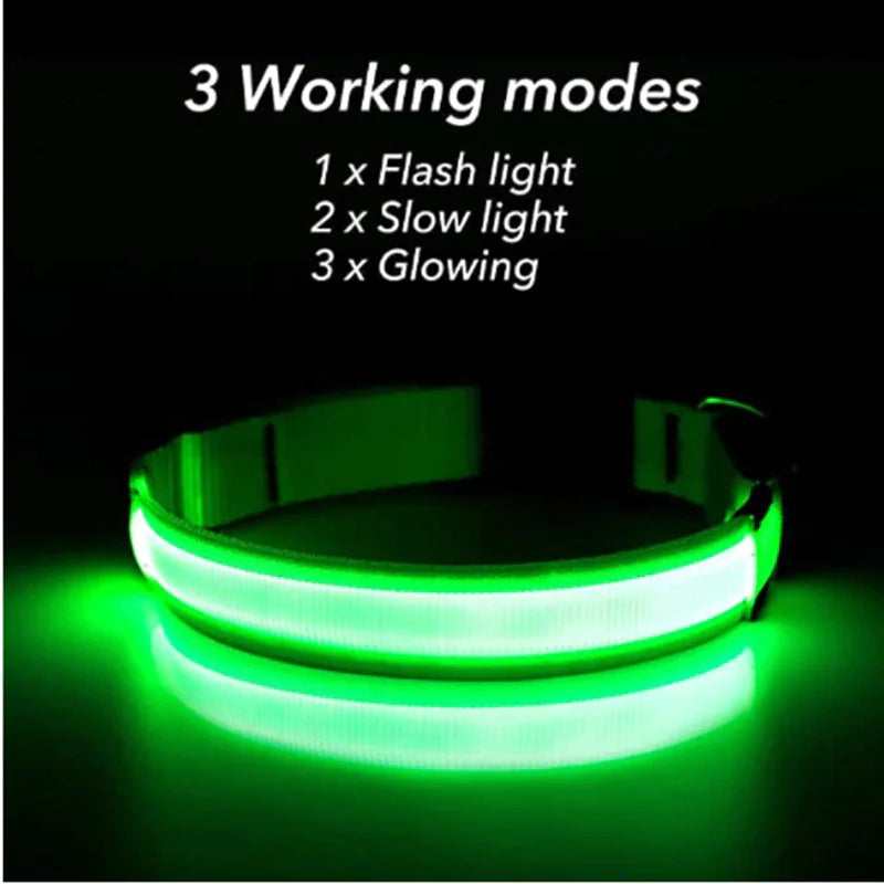 LED HIGH VISIBILITY SAFETY COLLAR FOR DOGS