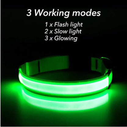 LED HIGH VISIBILITY SAFETY COLLAR FOR DOGS