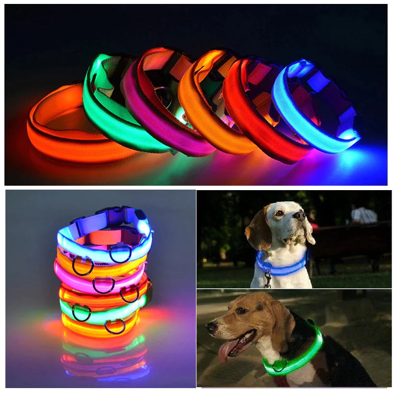 LED HIGH VISIBILITY SAFETY COLLAR FOR DOGS