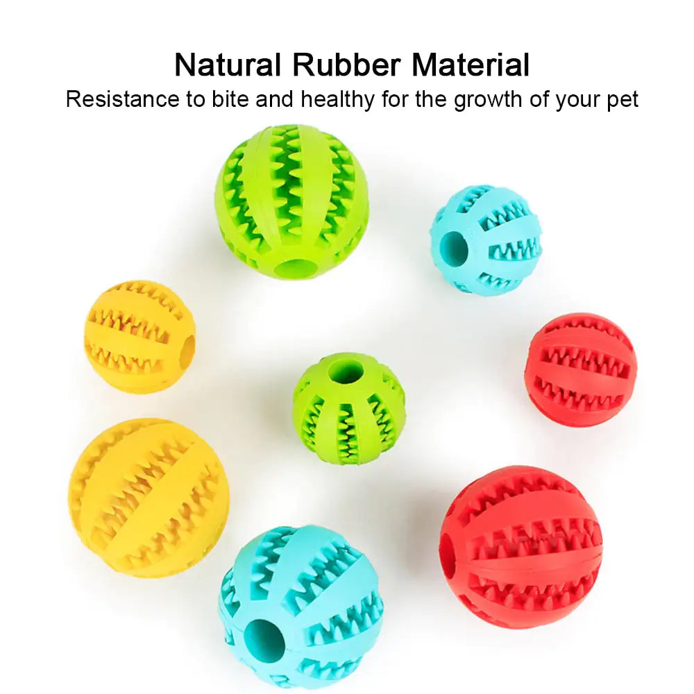 INTERACTIVE DOG RUBBER BALL