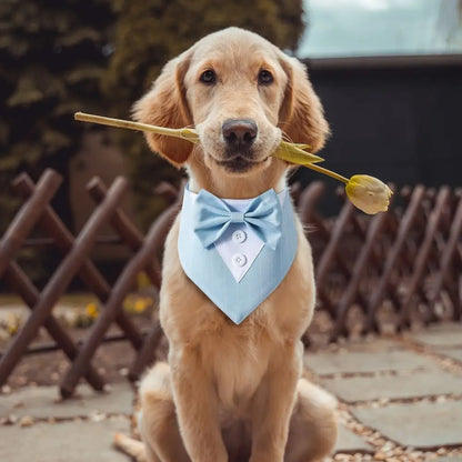 TUXEDO BOW TIE FOR DOGS