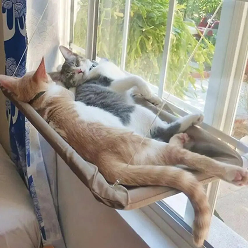 SUSPENDED BED FOR CATS