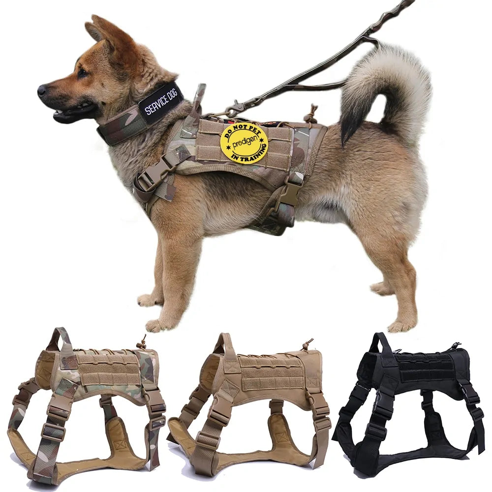 TACTICAL DOG HARNESS WITH BUNGEE LEASH